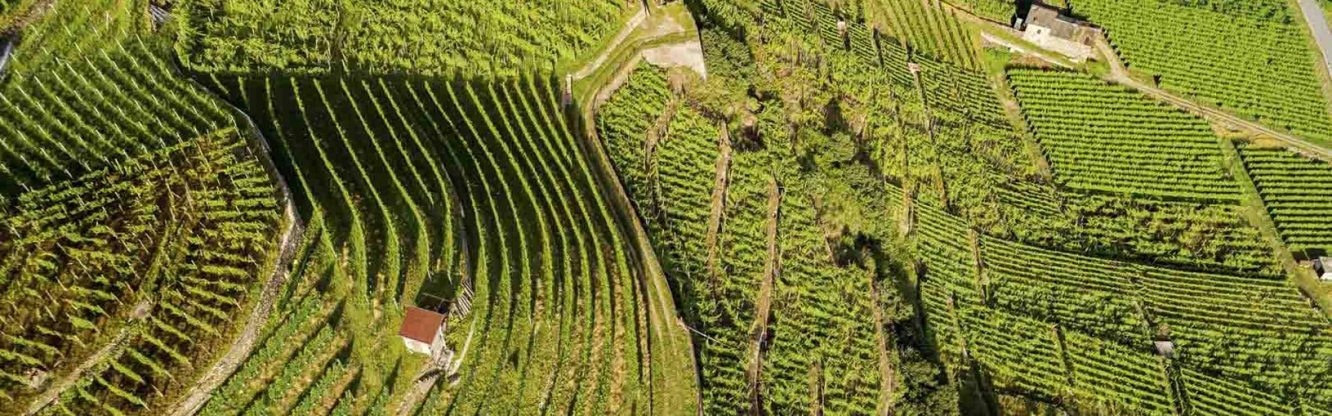 Valtellina: un viaggio enogastronomic