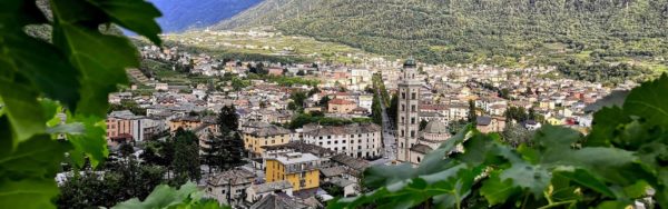 bicicletta coppa e mprtadella