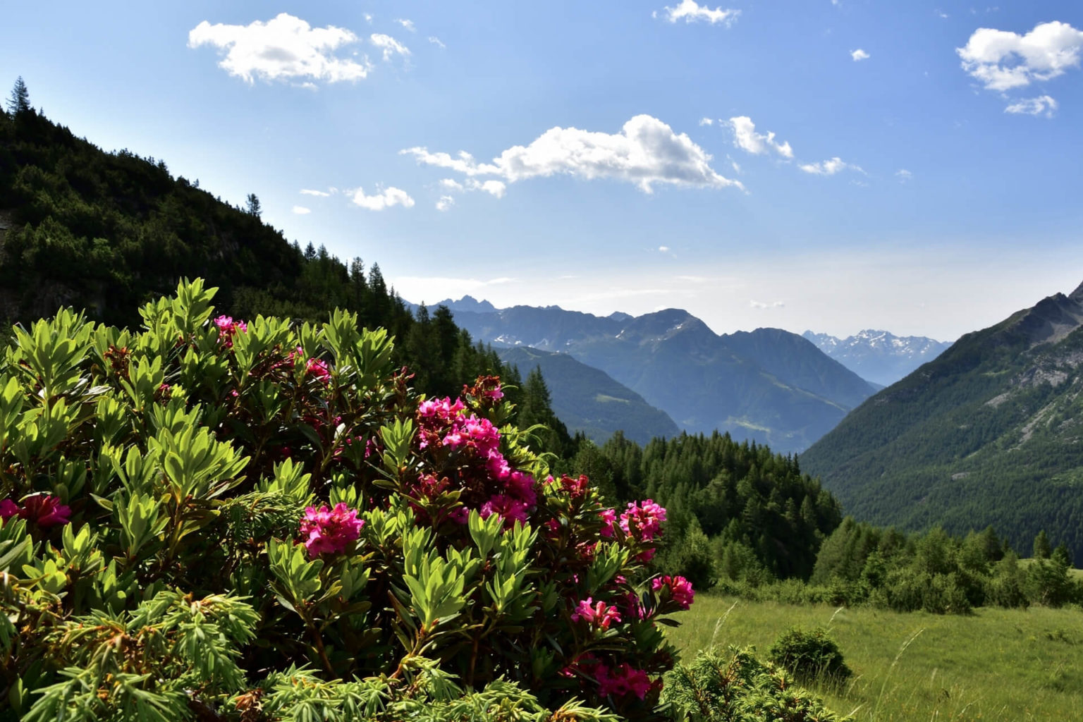 Da Chiareggio Al Rifugio Longoni Con Bresaola Della Valtellina IGP ...